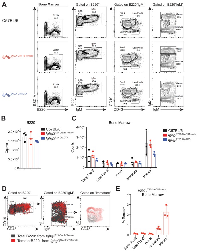 Figure 1—figure supplement 4.