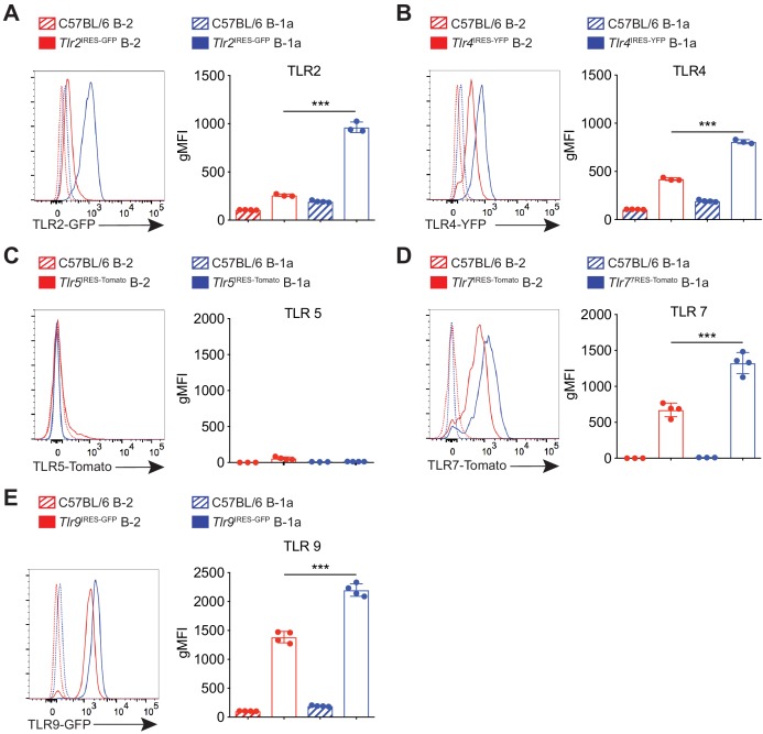 Figure 4—figure supplement 1.