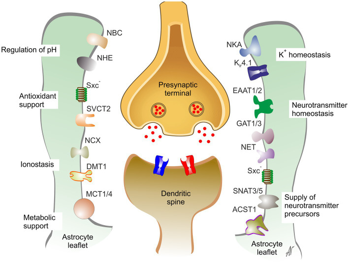 Figure 6