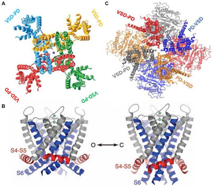 Figure 4