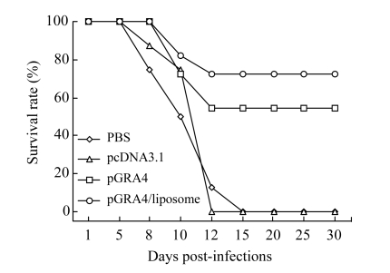 Fig.3