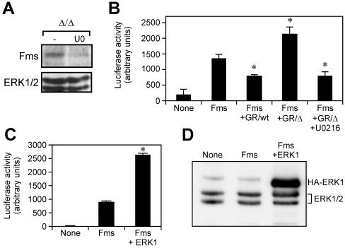 FIG. 10.