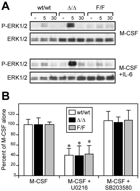 FIG. 8.