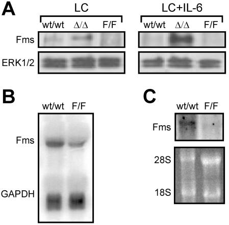 FIG. 9.