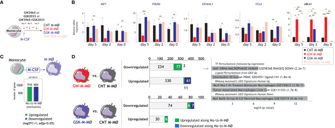 Figure 4