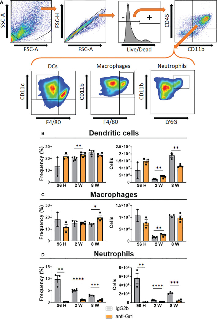 Figure 6