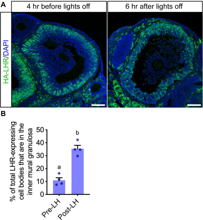 Figure 4.