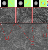 Fig. 7
