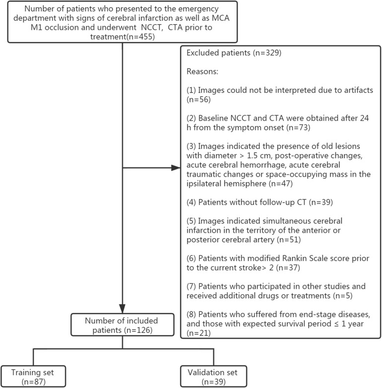 FIGURE 1