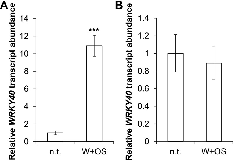 Fig. S7.