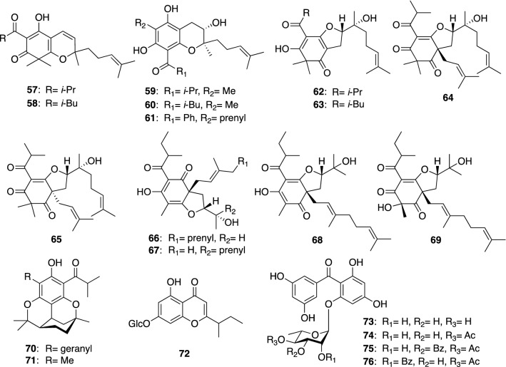 Fig. 8