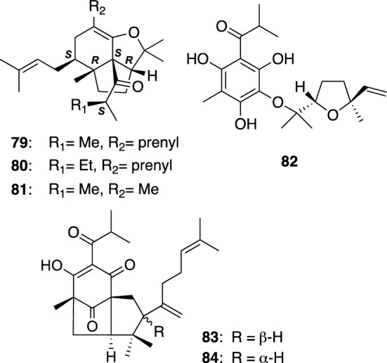 Fig. 10