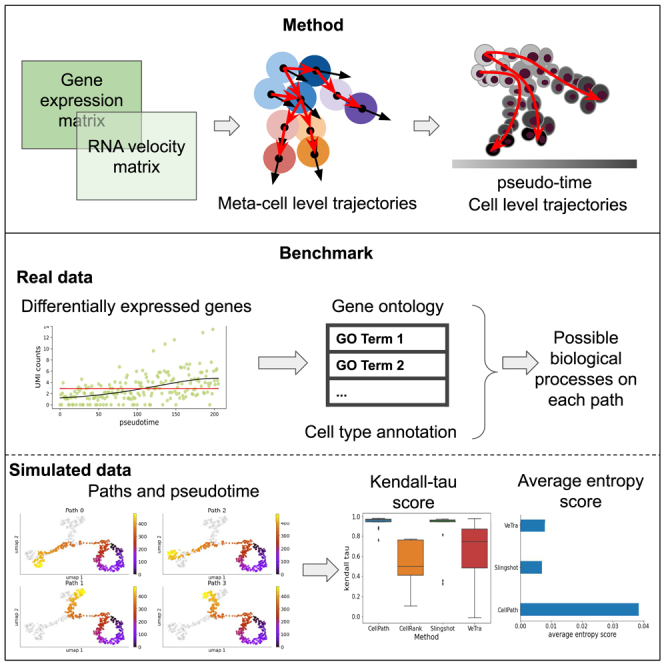 graphic file with name fx1.jpg