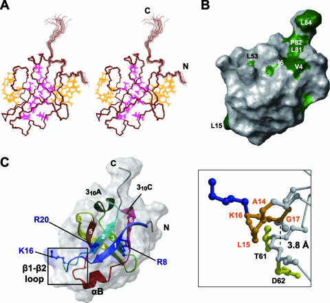 FIG. 3.