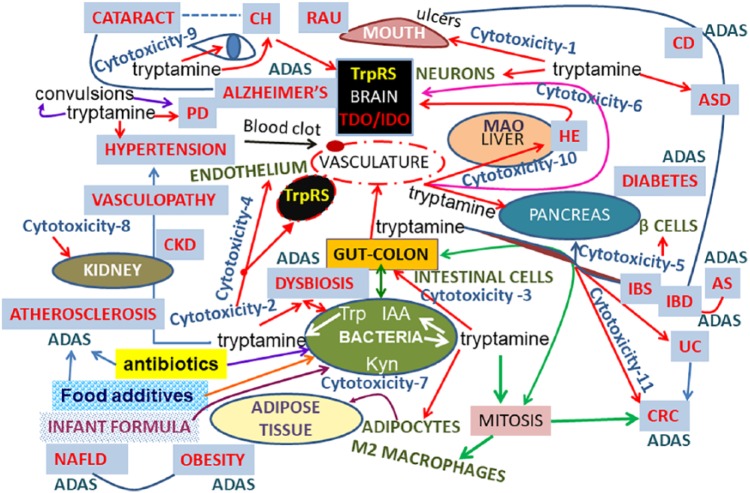 Figure 4.