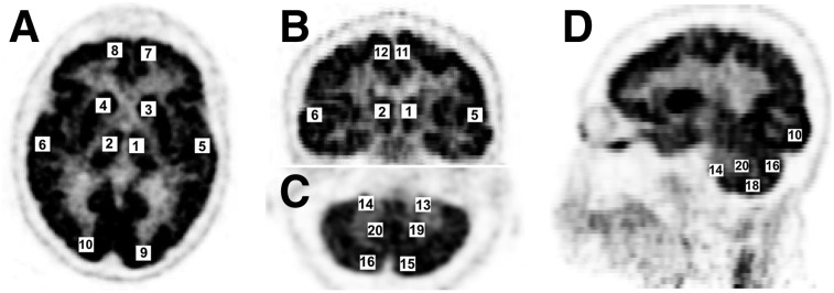 FIGURE 2.