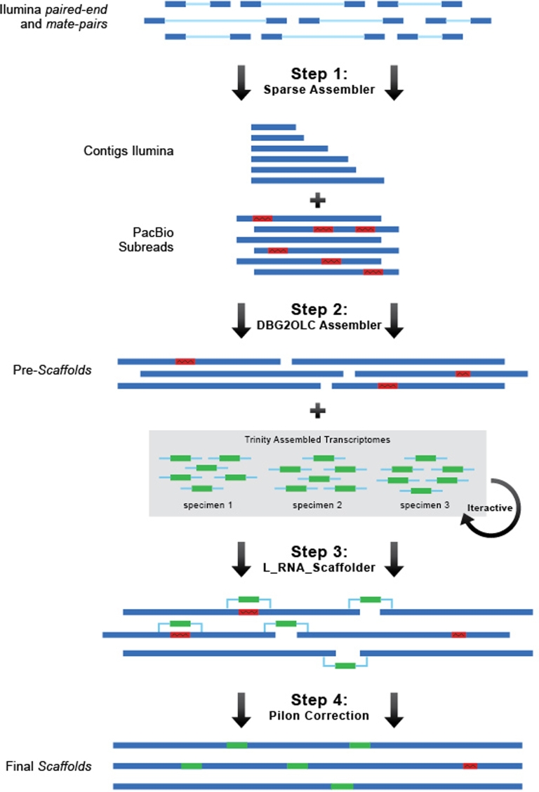 Figure 2: