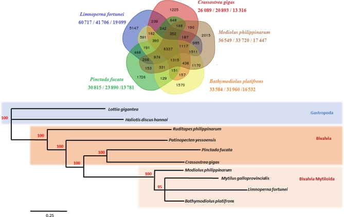 Figure 3: