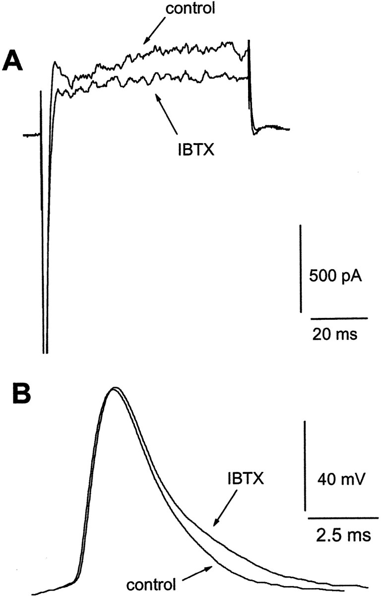 Fig. 9.