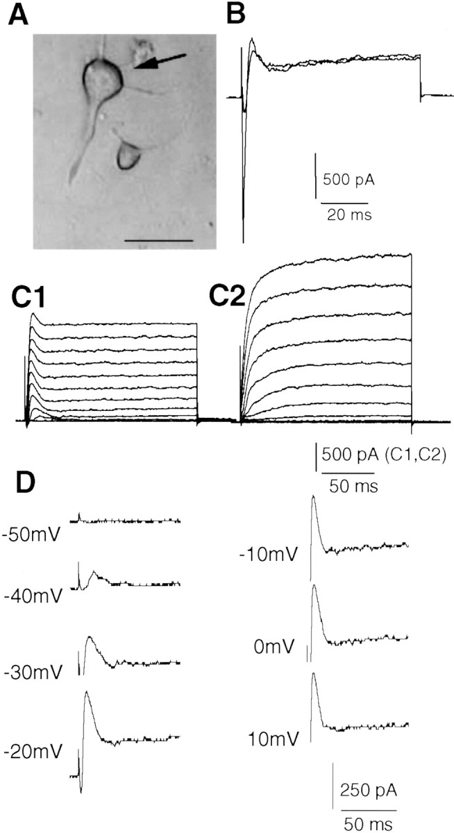 Fig. 1.