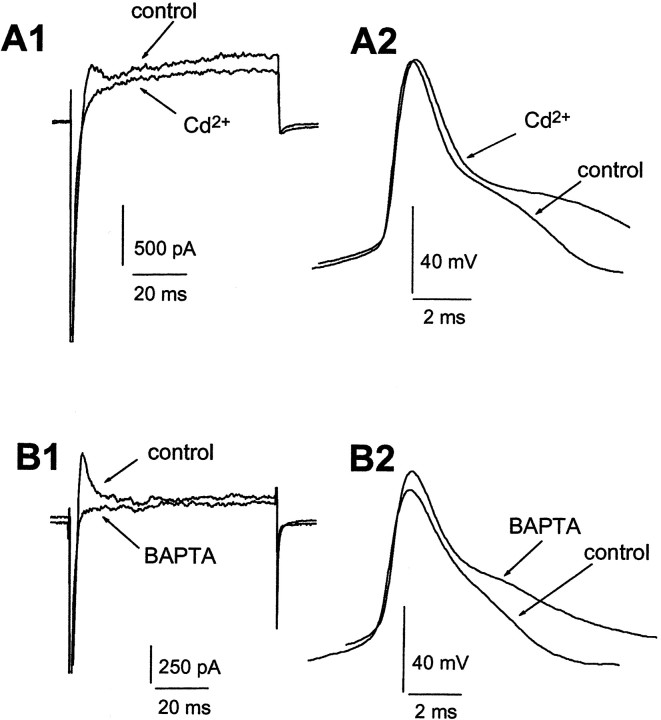 Fig. 11.