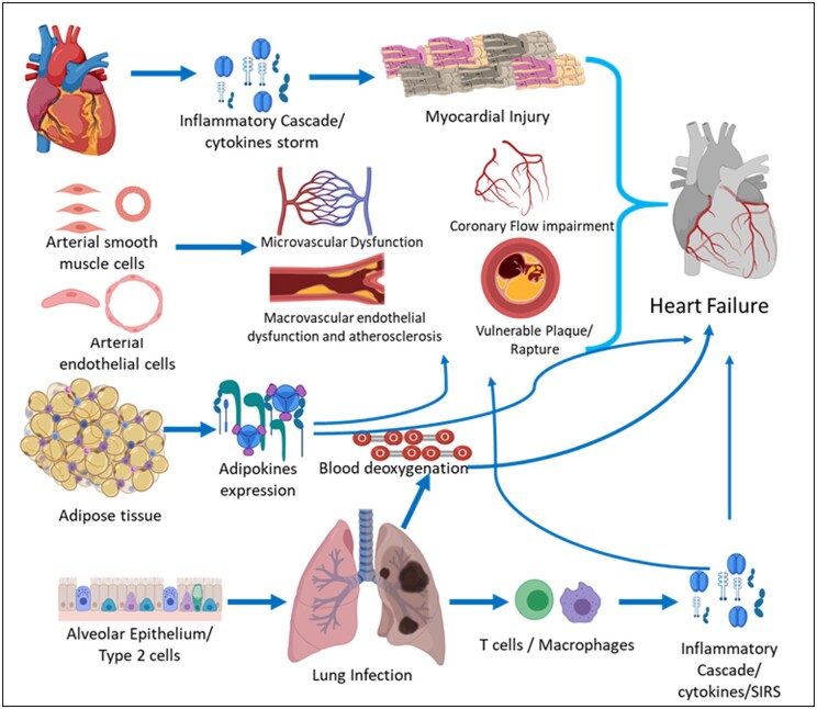 Graphical Abstract