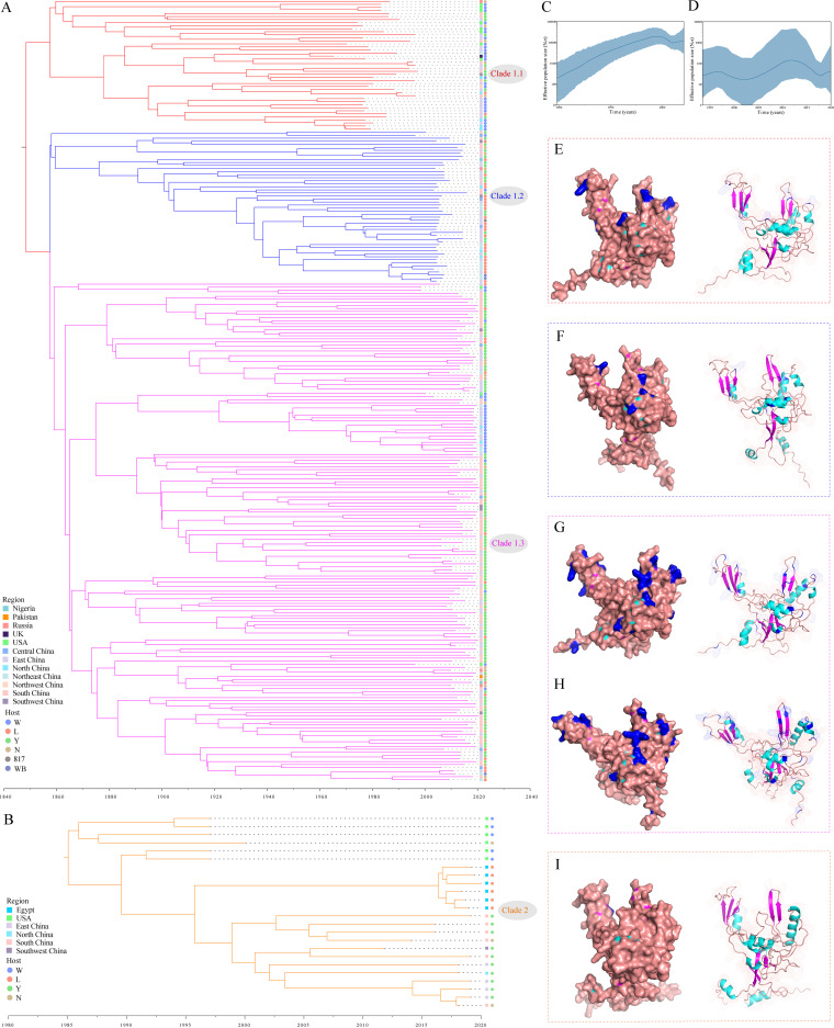 FIG 4