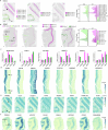 Extended Data Fig. 17