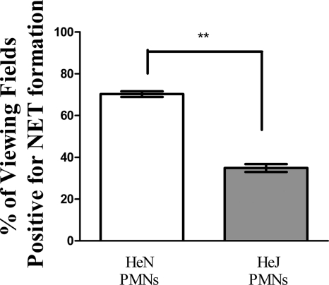 FIG. 9.