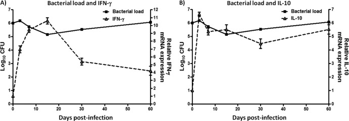 Fig 5