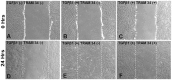 Fig 8