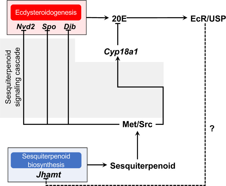 Fig 5