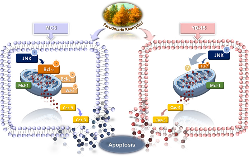 graphic file with name 12935_2021_2134_Figa_HTML.jpg