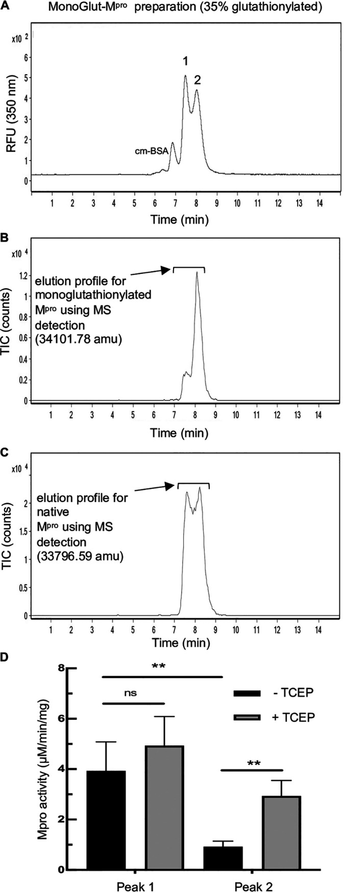 FIG 3