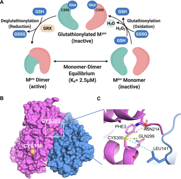 FIG 6