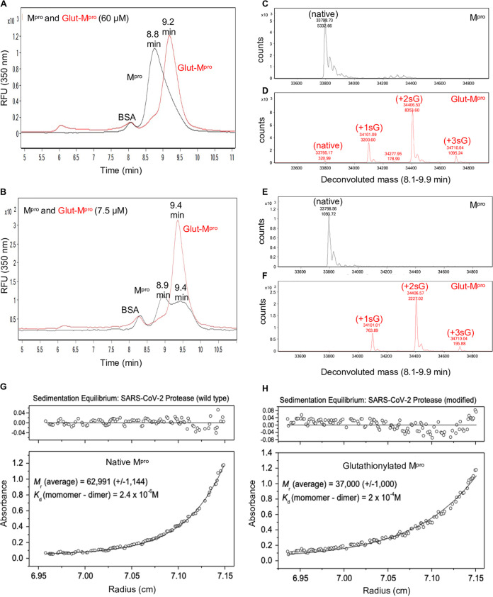 FIG 2