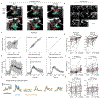 Extended Data Fig. 7 |