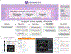 Extended Data Fig. 8 |