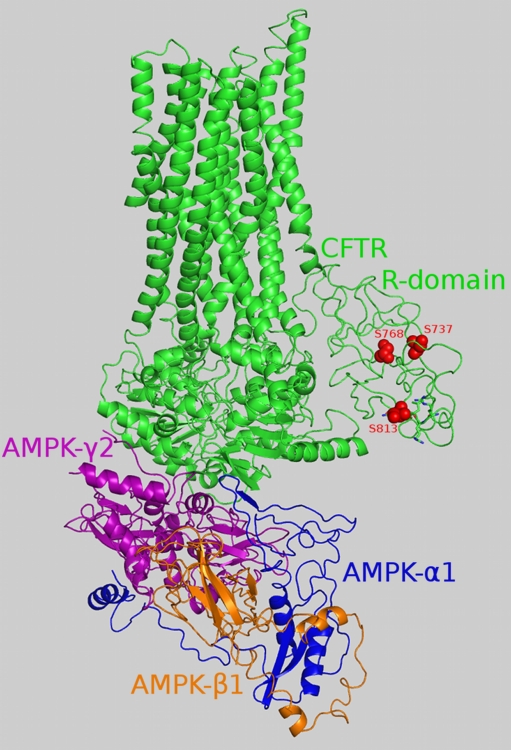 Fig. 4