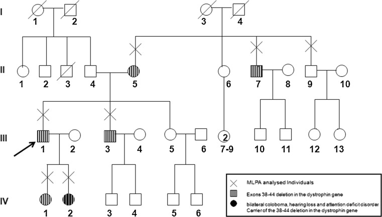 Fig. 1