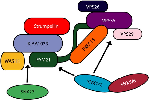 Fig. 1