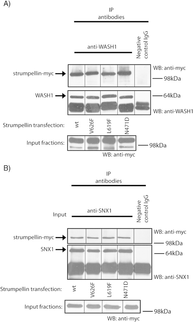 Fig. 5