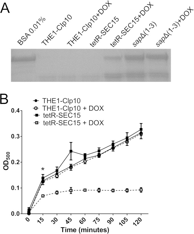 FIG 6