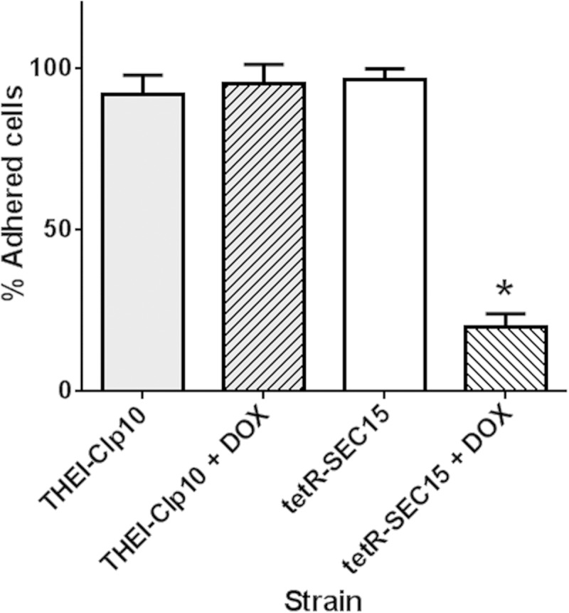 FIG 4