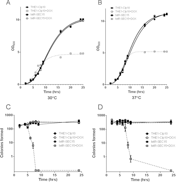 FIG 2