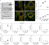 Extended Data Figure 7