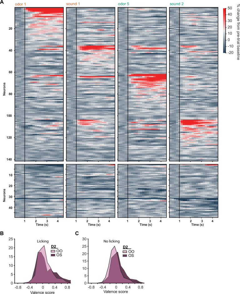 Figure 5—figure supplement 3.