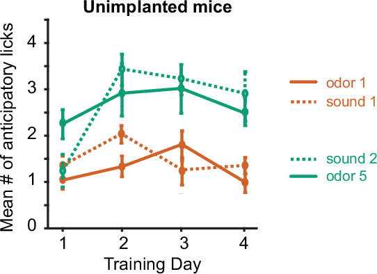 Figure 1—figure supplement 5.