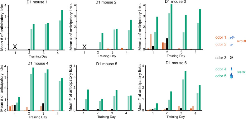 Figure 1—figure supplement 3.