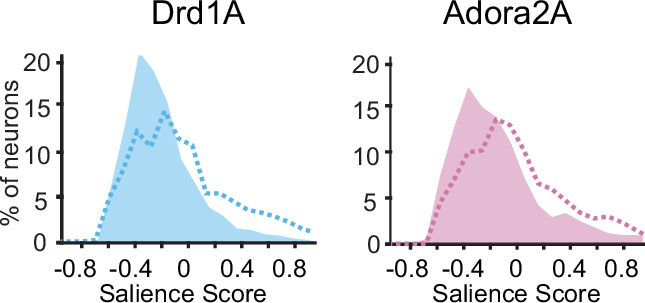 Figure 3—figure supplement 1.